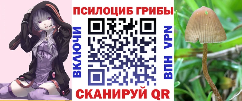 Псилоцибиновые грибы ЛСД  Велиж 